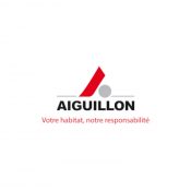 AIGUILLON